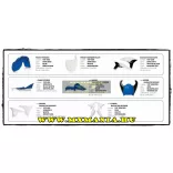 ACERBIS Yamaha hűttőidom!