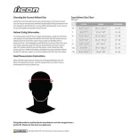 Icon Ultraflite™ Rizz Rizz MIPS® bukósisak