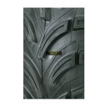 AMS SWAMP FOX  gumiabroncs