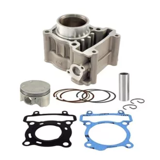   RMS CYLINDER KOMPLETNY YAMAHA YP125R X-MAX '08-'19; MT 125 '15-'19; X-CITY '08-'11; YZF 125R '08-'18 (EVOK)
