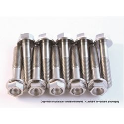 scar titanium csavar 8x35mm