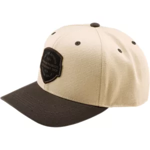 Troy Lee Designs Curved Snapback Imprint sapka– Pumice/Black
