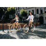 KELLYS ARVEN DUTCH VAJSZINŰ NŐI KERÉKPÁR 