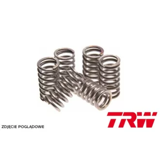   TRW ZF kuplungrugó készlet Kawasaki KXF 400 '03-'04, KLX 400 '03-'04, Suzuki DRZ 400 '00-'08, LTZ 400 '03-'04, EBS079
