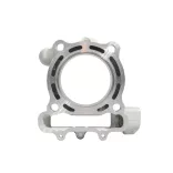 PROMX 2024/05 CYLINDER KAWASAKI KXF 250 '09-'16 (STD 77MM) NICASIL