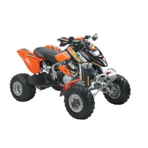 Can-am DS650