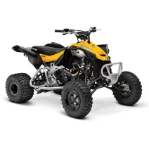 Can-am DS450