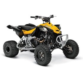 Can-am DS450